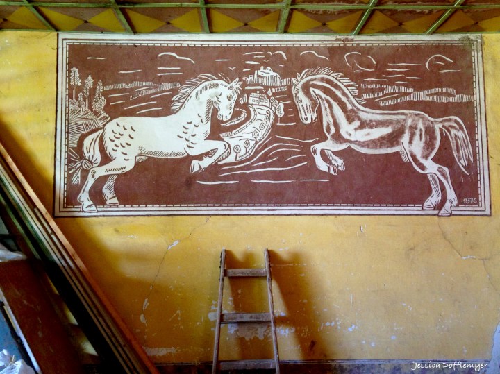 2016-09-27_wild-horses