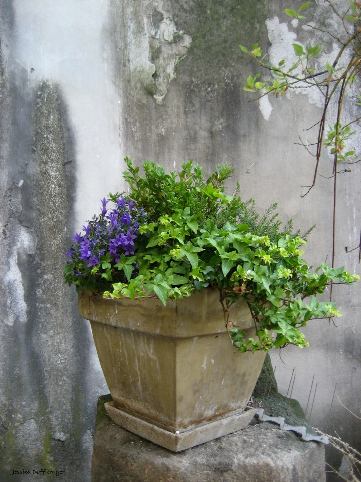 2016-09-30_czech_neruda-street-flower-pot